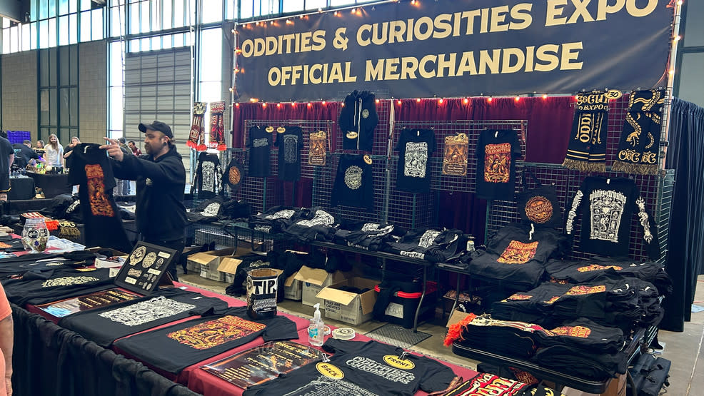 Oddities and Curiosities 2025